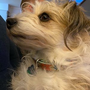 Meet your Posher, Ava